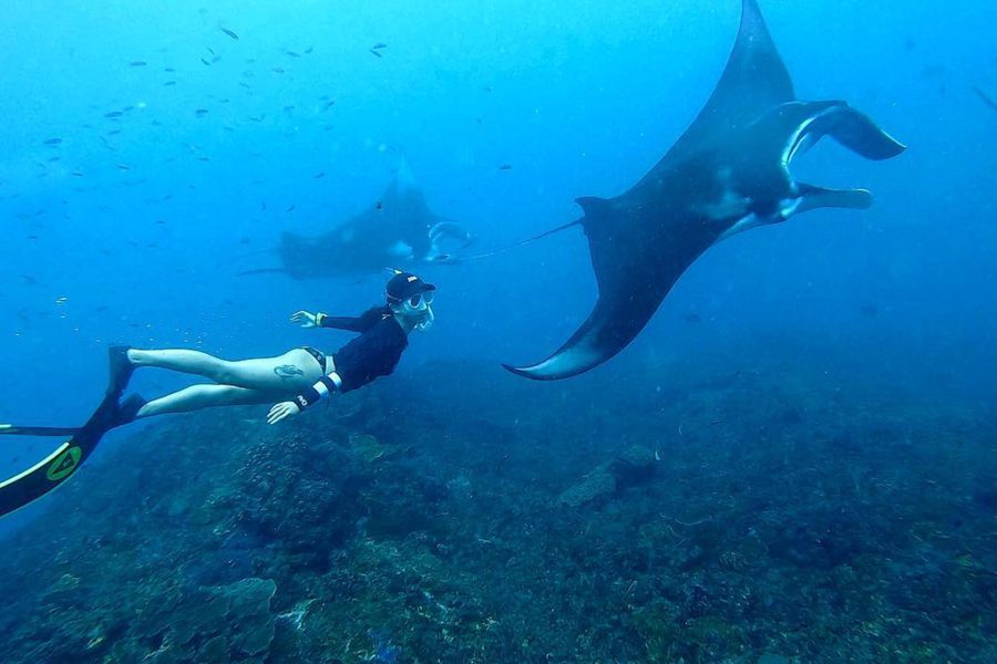 Bali : The Most Incredible Nusa Penida With Snorkeling Manta