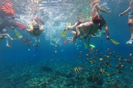 Snorkeling Journey and Island Tour Nusa Penida